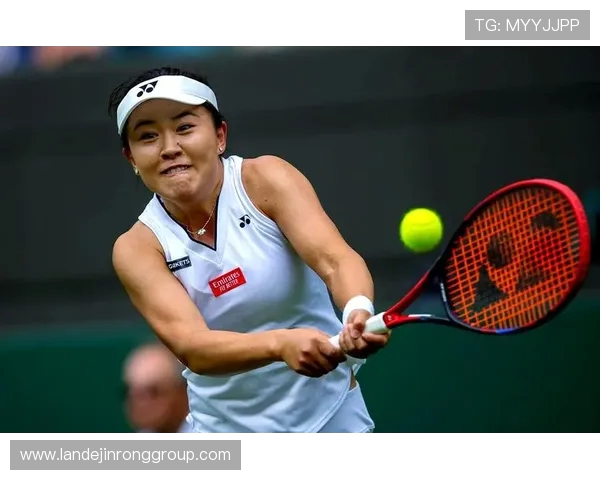 上海网球队在网球灵活性排行榜中荣登第九名展现出卓越实力与潜力