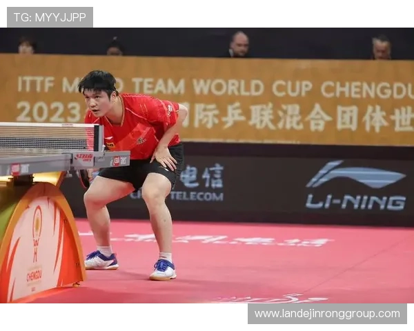 乒乓球深度:解密成都乒乓球队的防守 乒乓球深度:解密成都乒乓球队的防守