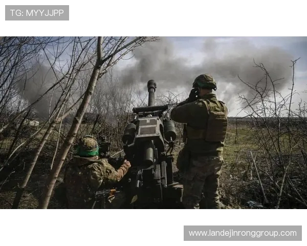 北京排球队阵地战体系解析与战术创新探讨