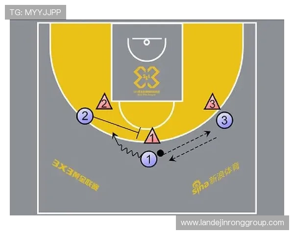 南京羽毛球队进攻战术深度分析与实战应用探讨