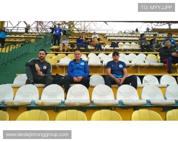 广州篮球队在城市联赛中的团队协作表现分析与点评