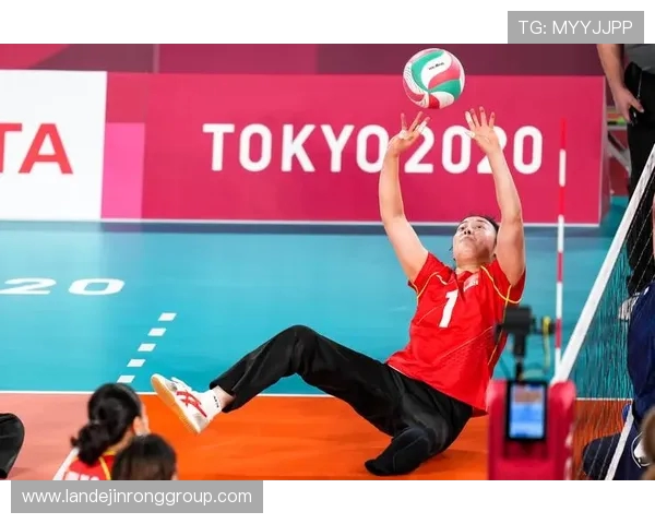 张伟的排球人生:从少年梦想到职业辉煌的深度对话与反思