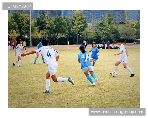 杭州足球队实力分析：从战术到球员全面解读球队竞争力