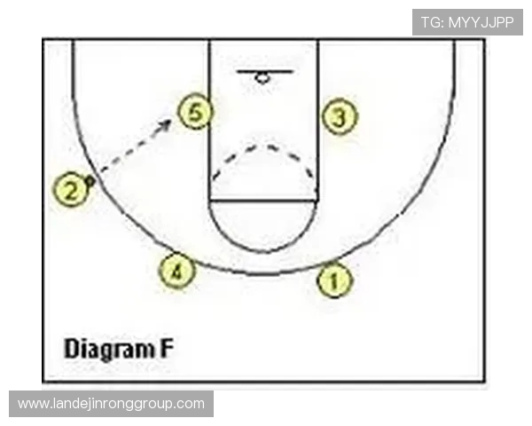 广州排球队快攻战术解析与深度剖析全面解读排球竞技魅力