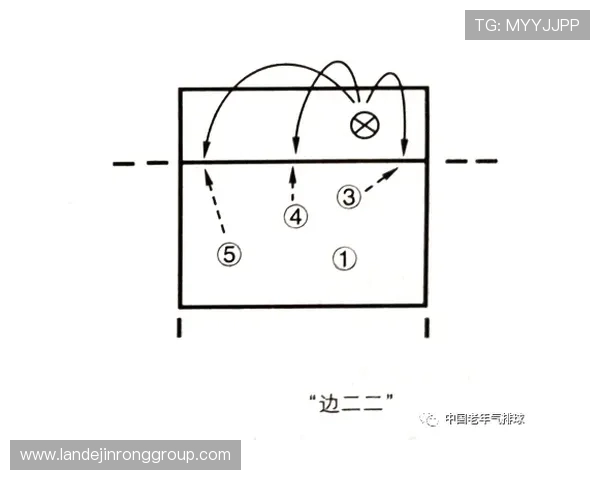 成都排球队的战术演变与球员转型深度分析